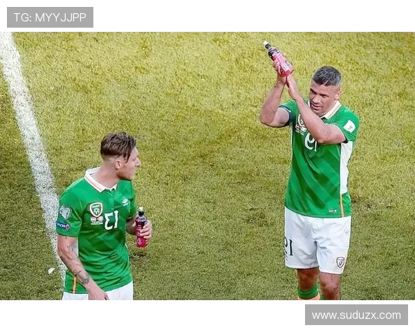 心系爱尔兰埃文弗格森酒吧见证球队逆转匈牙利精彩瞬间